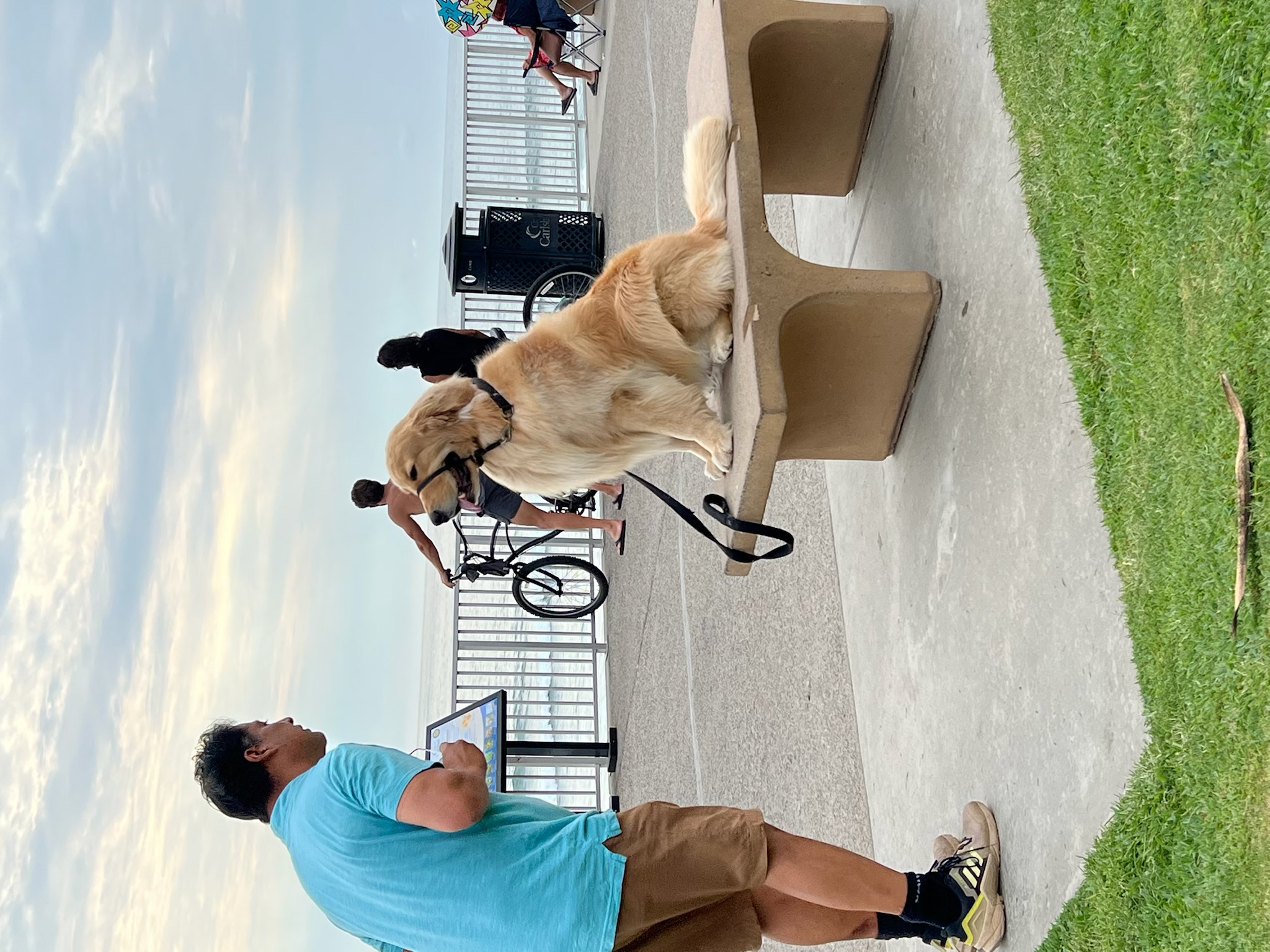 Balanced Dog Training