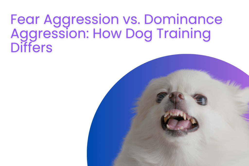 Fear Aggression vs. Dominance Aggression: How Dog Training Differs