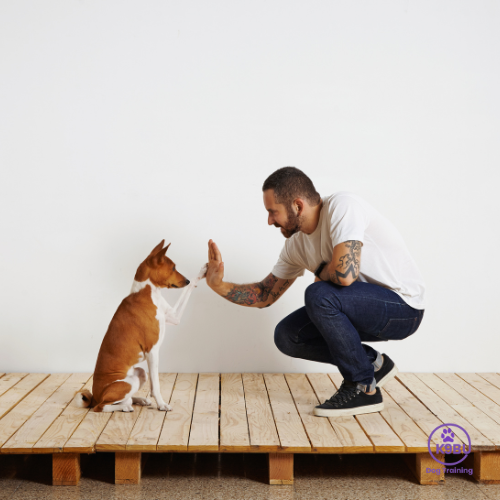 initial consultation